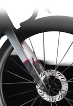 INCOLOR SR/SR+ — disc detail