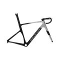 INCOLOR SR Frameset - Quicksilver