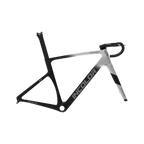 INCOLOR SR Frameset - Quicksilver